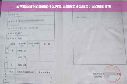 云南毕业证钢印是印的什么内容,云南白药牙膏蓝色小圆点鉴别方法