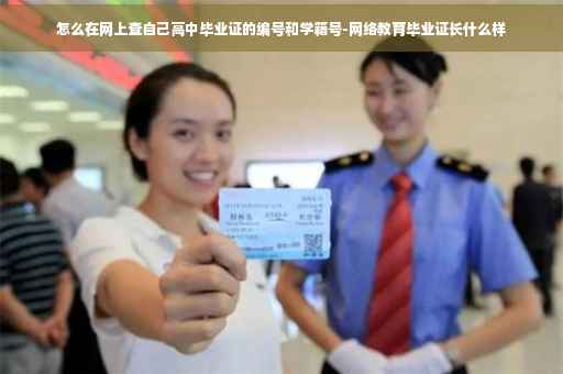 怎么在网上查自己高中毕业证的编号和学籍号-网络教育毕业证长什么样