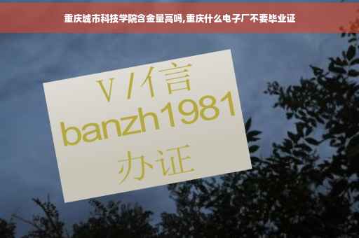 重庆城市科技学院含金量高吗,重庆什么电子厂不要毕业证