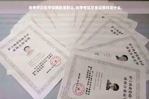 自考学历在学信网能查到么,自学考试毕业证图样是什么