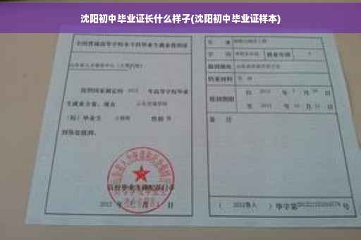 沈阳初中毕业证长什么样子(沈阳初中毕业证样本)