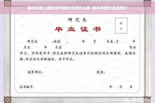 潍坊环境工程职业学院毕业证什么样-潍坊学院毕业证图片