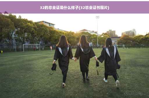 32的毕业证是什么样子(32毕业证书图片)