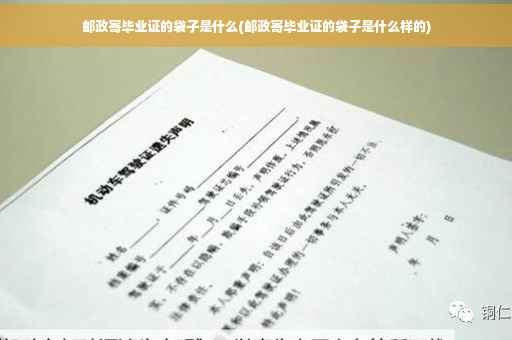 邮政寄毕业证的袋子是什么(邮政寄毕业证的袋子是什么样的)