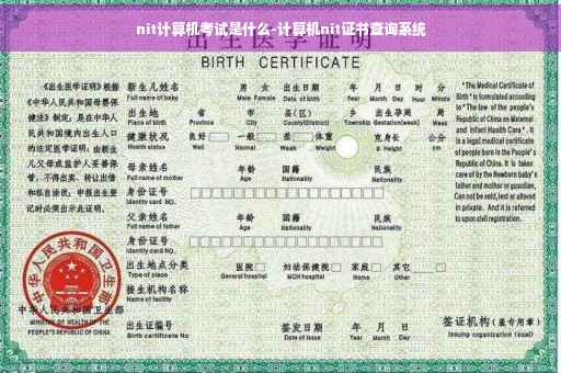 nit计算机考试是什么-计算机nit证书查询系统