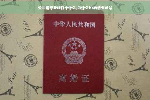 公司用毕业证能干什么,为什么hr要毕业证号