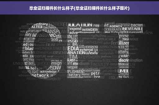 毕业证扫描件长什么样子(毕业证扫描件长什么样子图片)