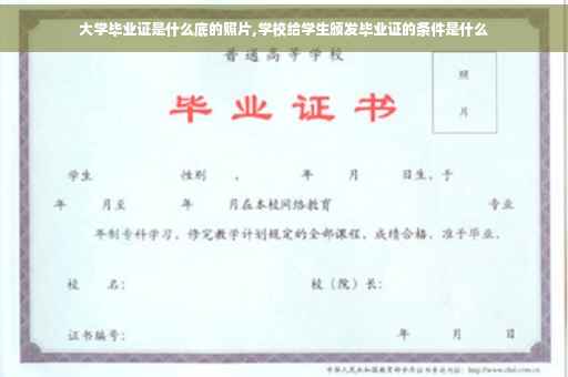 大学毕业证是什么底的照片,学校给学生颁发毕业证的条件是什么