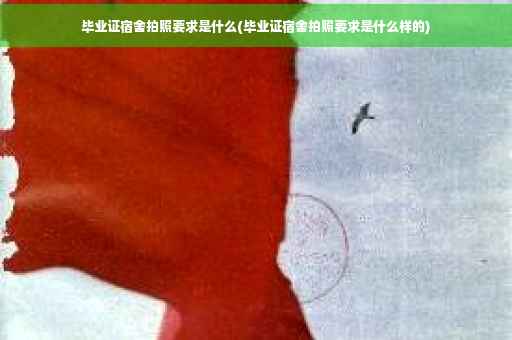 毕业证宿舍拍照要求是什么(毕业证宿舍拍照要求是什么样的)