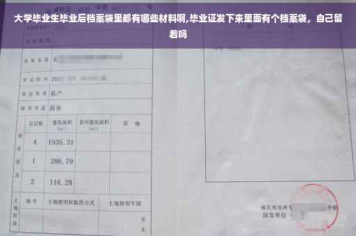 大学毕业生毕业后档案袋里都有哪些材料啊,毕业证发下来里面有个档案袋，自己留着吗