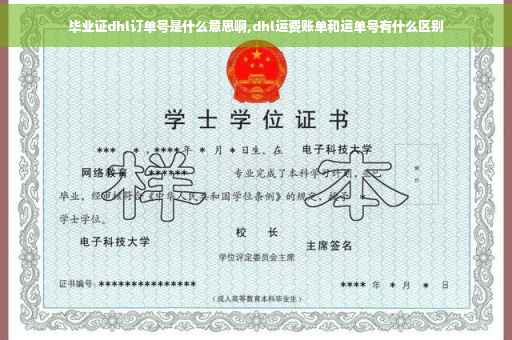 毕业证dhl订单号是什么意思啊,dhl运费账单和运单号有什么区别