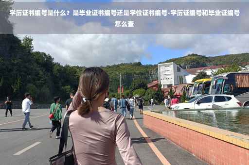 学历证书编号是什么？是毕业证书编号还是学位证书编号-学历证编号和毕业证编号怎么查