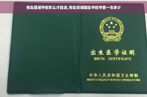 青岛盟诺学校怎么才能进,青岛培诺国际学校学费一年多少