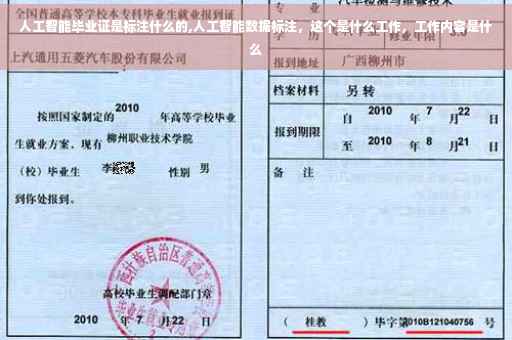 人工智能毕业证是标注什么的,人工智能数据标注，这个是什么工作，工作内容是什么