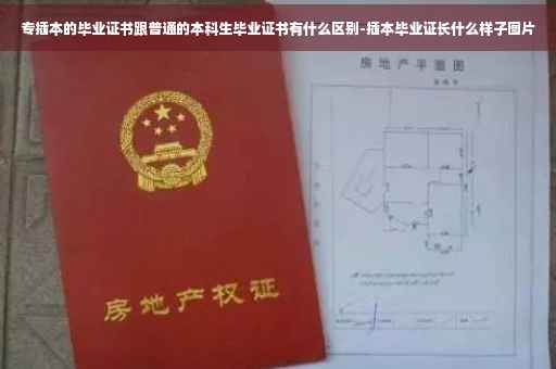 专插本的毕业证书跟普通的本科生毕业证书有什么区别-插本毕业证长什么样子图片