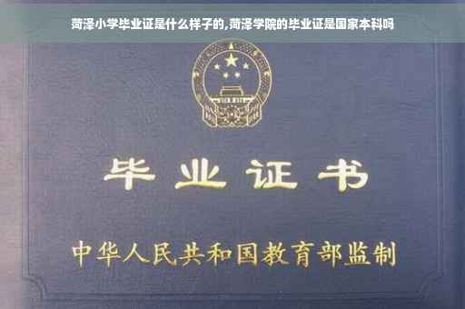 菏泽小学毕业证是什么样子的,菏泽学院的毕业证是国家本科吗