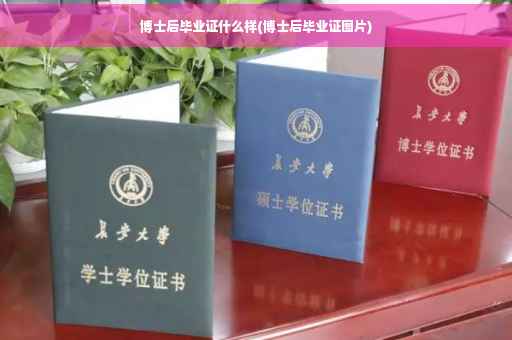 博士后毕业证什么样(博士后毕业证图片)
