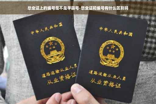 毕业证上的编号是不是学籍号-毕业证和编号有什么区别吗