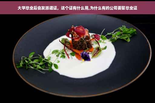 大学毕业后会发派遣证，这个证有什么用,为什么有的公司要留毕业证