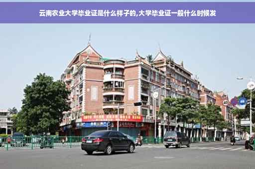 云南农业大学毕业证是什么样子的,大学毕业证一般什么时候发