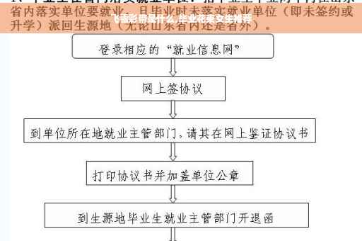 飞雪彩带是什么,毕业花束女生推荐