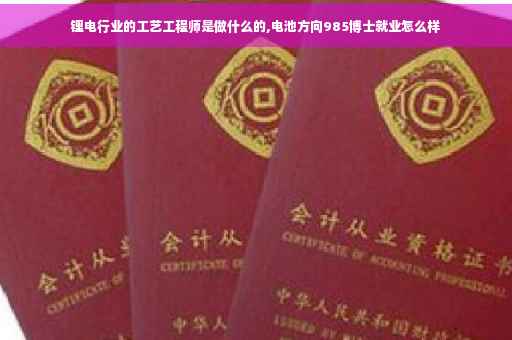 锂电行业的工艺工程师是做什么的,电池方向985博士就业怎么样