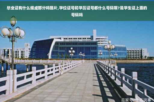 毕业证有什么组成部分吗图片,学位证号和学历证号都什么号码啊?是学生证上面的号码吗