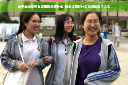 高中毕业生档案袋里都是有什么-毕业证包含什么东西呢图片大全