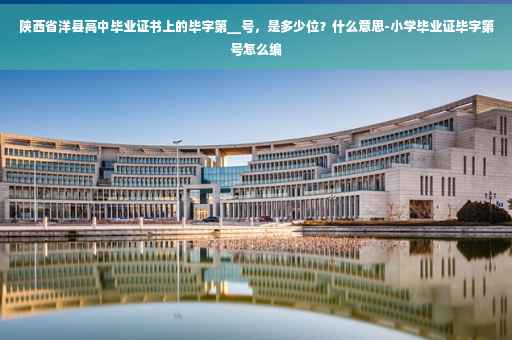 陕西省洋县高中毕业证书上的毕字第__号，是多少位？什么意思-小学毕业证毕字第号怎么编