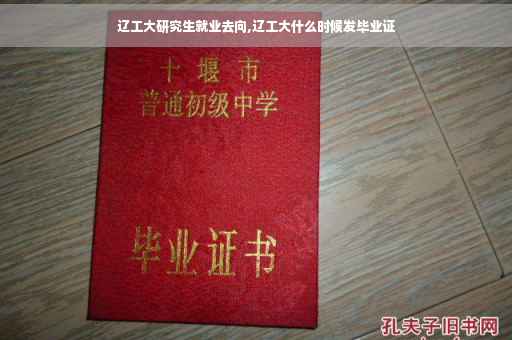 辽工大研究生就业去向,辽工大什么时候发毕业证