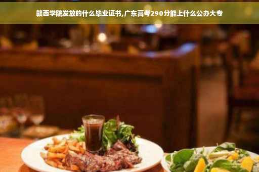 赣西学院发放的什么毕业证书,广东高考290分能上什么公办大专