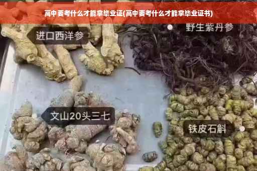 高中要考什么才能拿毕业证(高中要考什么才能拿毕业证书)