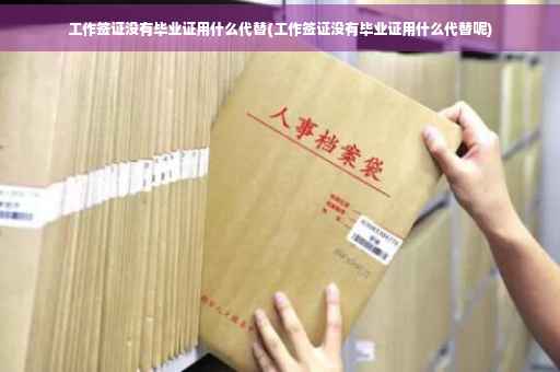 工作签证没有毕业证用什么代替(工作签证没有毕业证用什么代替呢)