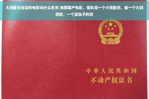 大妈偷毕业证的电影叫什么名字,有部国产电影，镜头是一个小孩偷药，被一个大妈抓到，一个卖包子的给