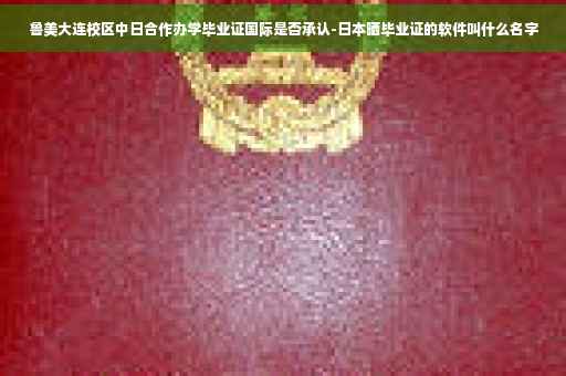 鲁美大连校区中日合作办学毕业证国际是否承认-日本晒毕业证的软件叫什么名字