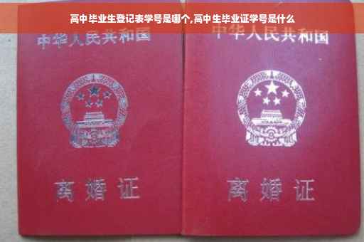 高中毕业生登记表学号是哪个,高中生毕业证学号是什么