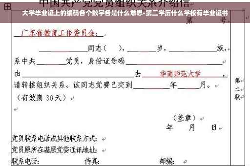 大学毕业证上的编码各个数字各是什么意思-第二学历什么学校有毕业证书