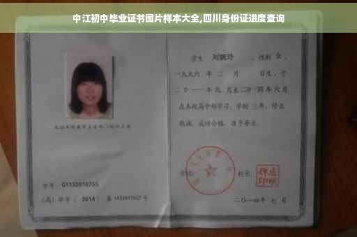中江初中毕业证书图片样本大全,四川身份证进度查询