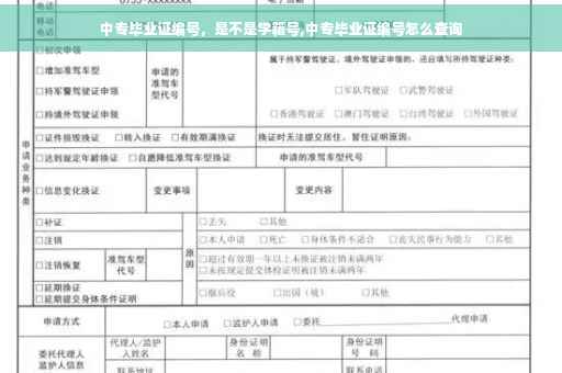 中专毕业证编号，是不是学籍号,中专毕业证编号怎么查询