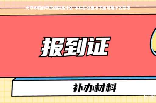 大学本科的学历编码是什么-本科毕业证电子编号是什么意思