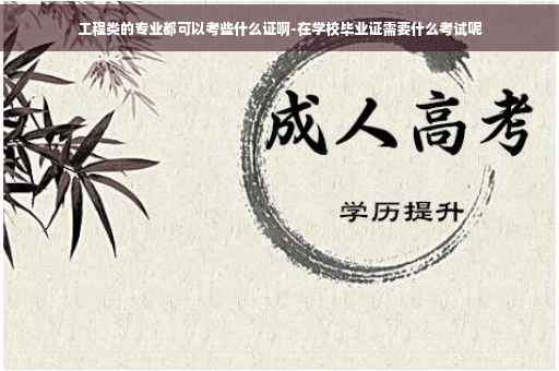 工程类的专业都可以考些什么证啊-在学校毕业证需要什么考试呢