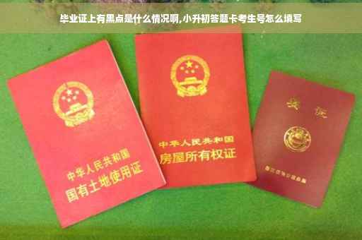 毕业证上有黑点是什么情况啊,小升初答题卡考生号怎么填写