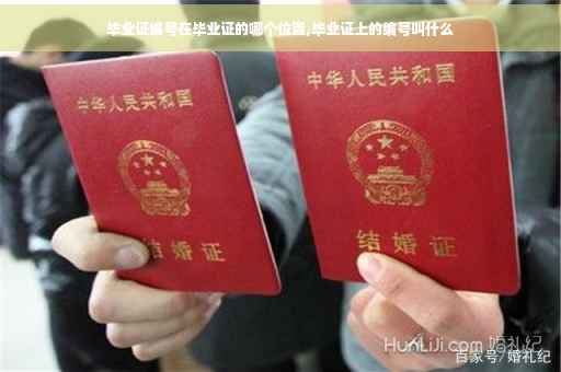 毕业证编号在毕业证的哪个位置,毕业证上的编号叫什么