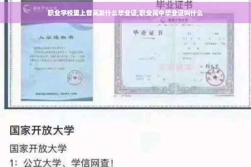 职业学校里上普高发什么毕业证,职业高中毕业证叫什么