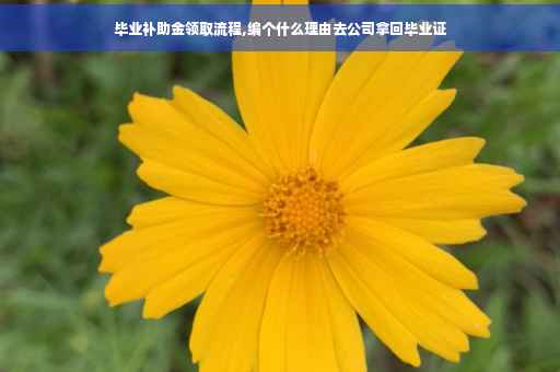 毕业补助金领取流程,编个什么理由去公司拿回毕业证