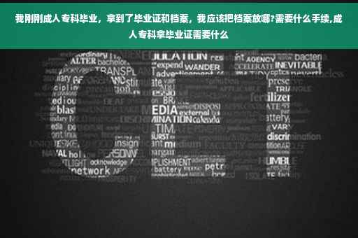 我刚刚成人专科毕业，拿到了毕业证和档案，我应该把档案放哪?需要什么手续,成人专科拿毕业证需要什么