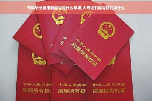 专科毕业证印制编号是什么意思,大专证书编号指的是什么