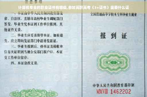 计算机专业的职业证书有哪些,参加高职高考（3+证书）需要什么证
