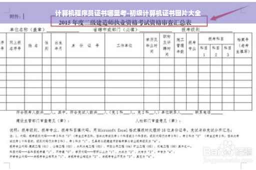 计算机程序员证书哪里考-初级计算机证书图片大全 计算机程序员证书哪里考-初级计算机证书图片大全