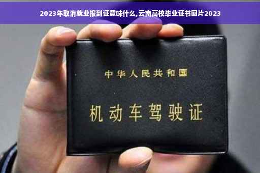2023年取消就业报到证意味什么,云南高校毕业证书图片2023